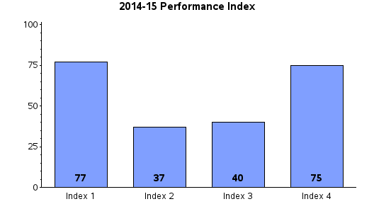 Performance Index Report